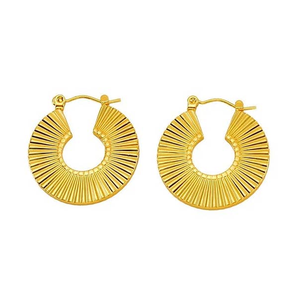 Round Disco Hoops